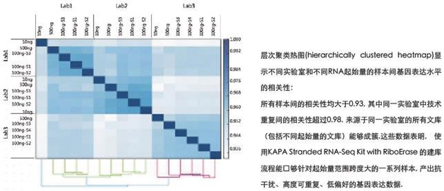 KAPA 核糖体去除链方向性RNA文库准备试剂盒 - 二代测序