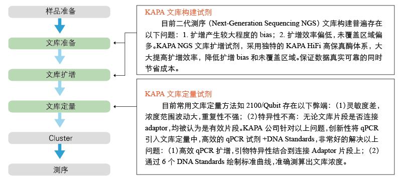 KAPA HiFi高保真二代测序文库扩增试剂 - 二代测序