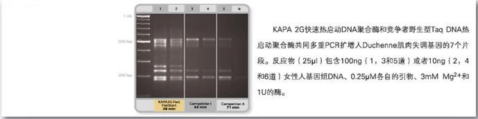 KAPA 2G 快速DNA聚合酶及Ready Mix - 二代基因工程酶 -