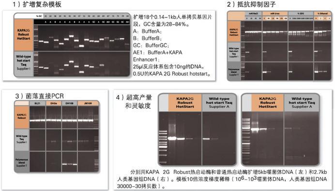 KAPA 2G Robust DNA聚合酶及Ready Mix - 二代基因工程酶 -