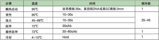 KAPA 2G Robust DNA聚合酶及Ready Mix - 二代基因工程酶 -