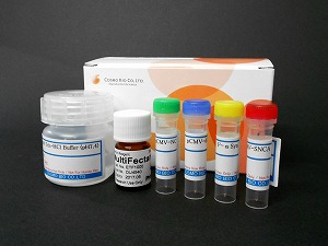 α-突触核蛋白聚集检测试剂盒 (ALPHA)-Synuclein Aggregation Assay Kit