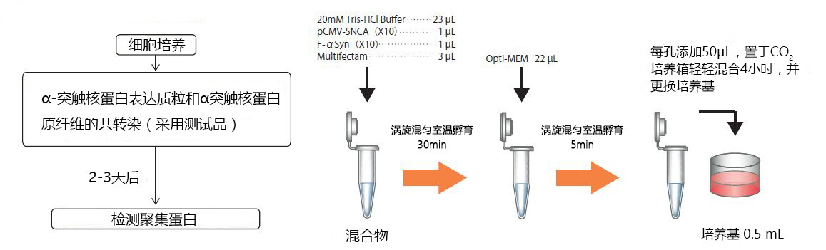 α-突触核蛋白聚集检测试剂盒 (ALPHA)-Synuclein Aggregation Assay Kit