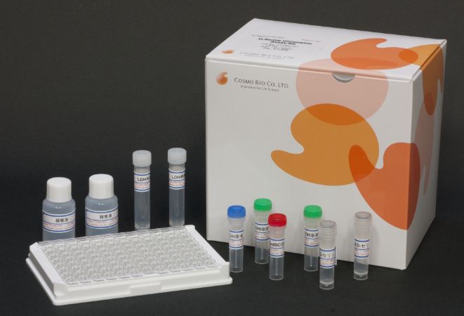 D- 丝氨酸比色法检测试剂盒 D-Serine Colorimetric Assay Kit