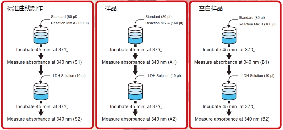 D- 丝氨酸比色法检测试剂盒 D-Serine Colorimetric Assay Kit