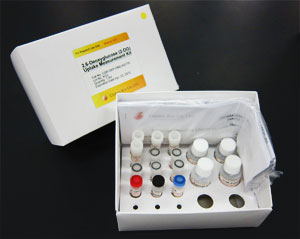 2-脱氧葡萄糖（2DG）摄入检测试剂盒 2-Deoxyglucose (2DG) Uptake Measurement Kit