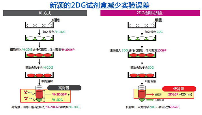 2-脱氧葡萄糖（2DG）摄入检测试剂盒 2-Deoxyglucose (2DG) Uptake Measurement Kit