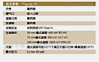 2814T沃特曼POLYCAP 150囊式过滤器20um孔径