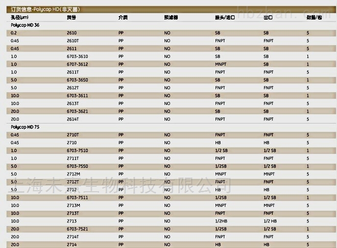 2814T沃特曼POLYCAP 150囊式过滤器20um孔径