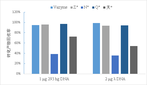 EpiArt DNA Methylation Bisulfite Kit