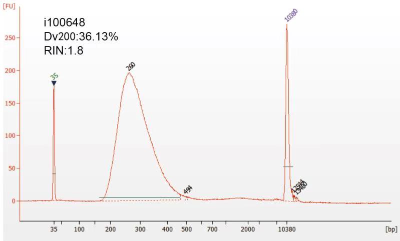 VAHTS Universal V8 RNA-seq Library Prep Kit for Illumina