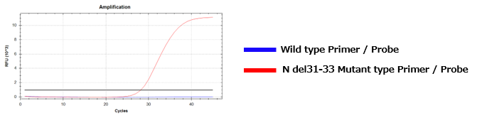 SARS-CoV-2 N del31-33 突变检测试剂盒                              SARS-CoV-2 N del31-33 Mutation Detection Kit