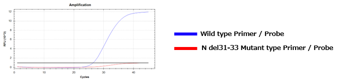 SARS-CoV-2 N del31-33 突变检测试剂盒                              SARS-CoV-2 N del31-33 Mutation Detection Kit