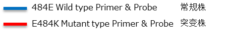 SARS-CoV-2 E484K Mutation Detection Kit                              SARS-CoV-2 E484K 突变检测试剂盒