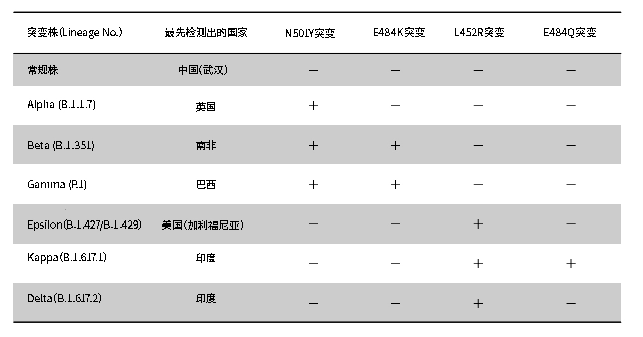 SARS-CoV-2 E484K Mutation Detection Kit                              SARS-CoV-2 E484K 突变检测试剂盒