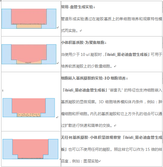 血管生成载玻片