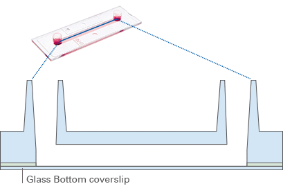 µ-Slide I 单通道玻璃底培养载玻片