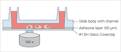µ-Slide I 单通道玻璃底培养载玻片