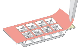 µ-Slide 8孔独立高壁腔室载玻片