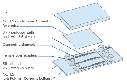 µ-Slide球体灌注通道培养载玻片80356 80350 80351